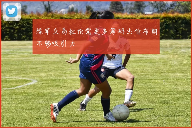 绿军交易杜伦需更多筹码杰伦布朗不够吸引力